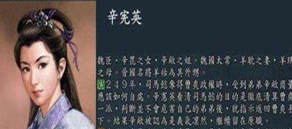 魏晋才女辛宪英有什么生平经历?历史上对辛宪英的评价如何?
