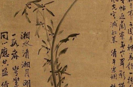 马湘兰是怎么死的?马湘兰是个怎么样的人?