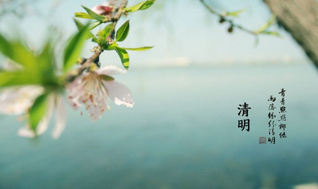 阳春三月，草长莺飞！是什么让他在清明佳节无奈与忧伤？