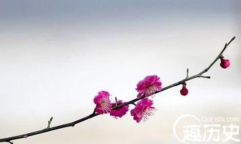 解析诗人周邦彦的一剪梅主要内容是什么